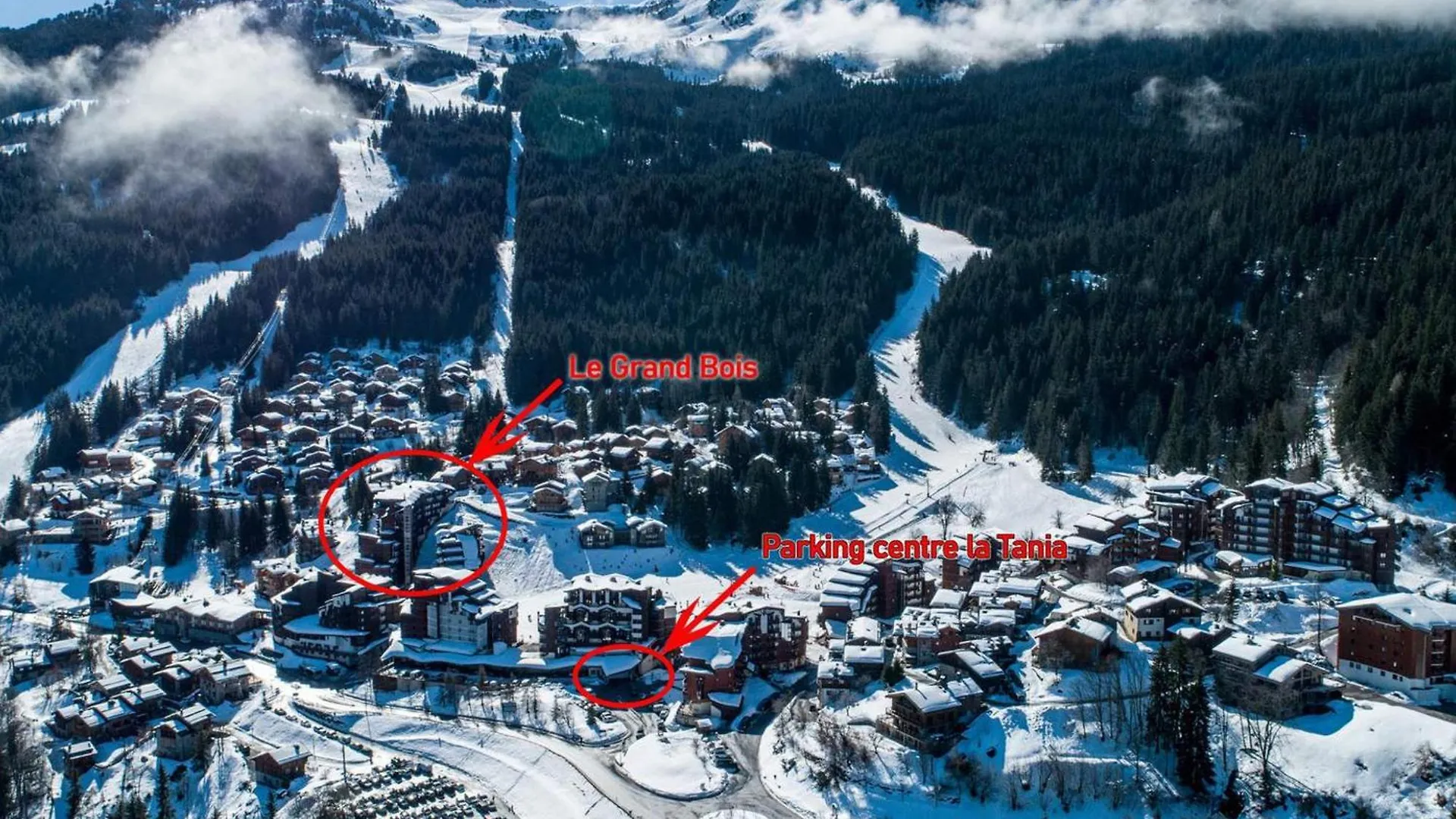 Appartement Skis Aux Pieds A La Tania - 2 Pieces, 31M², 4 Pers, Balcon, Proche Commerces - Fr-1-182A-17 Courchevel
